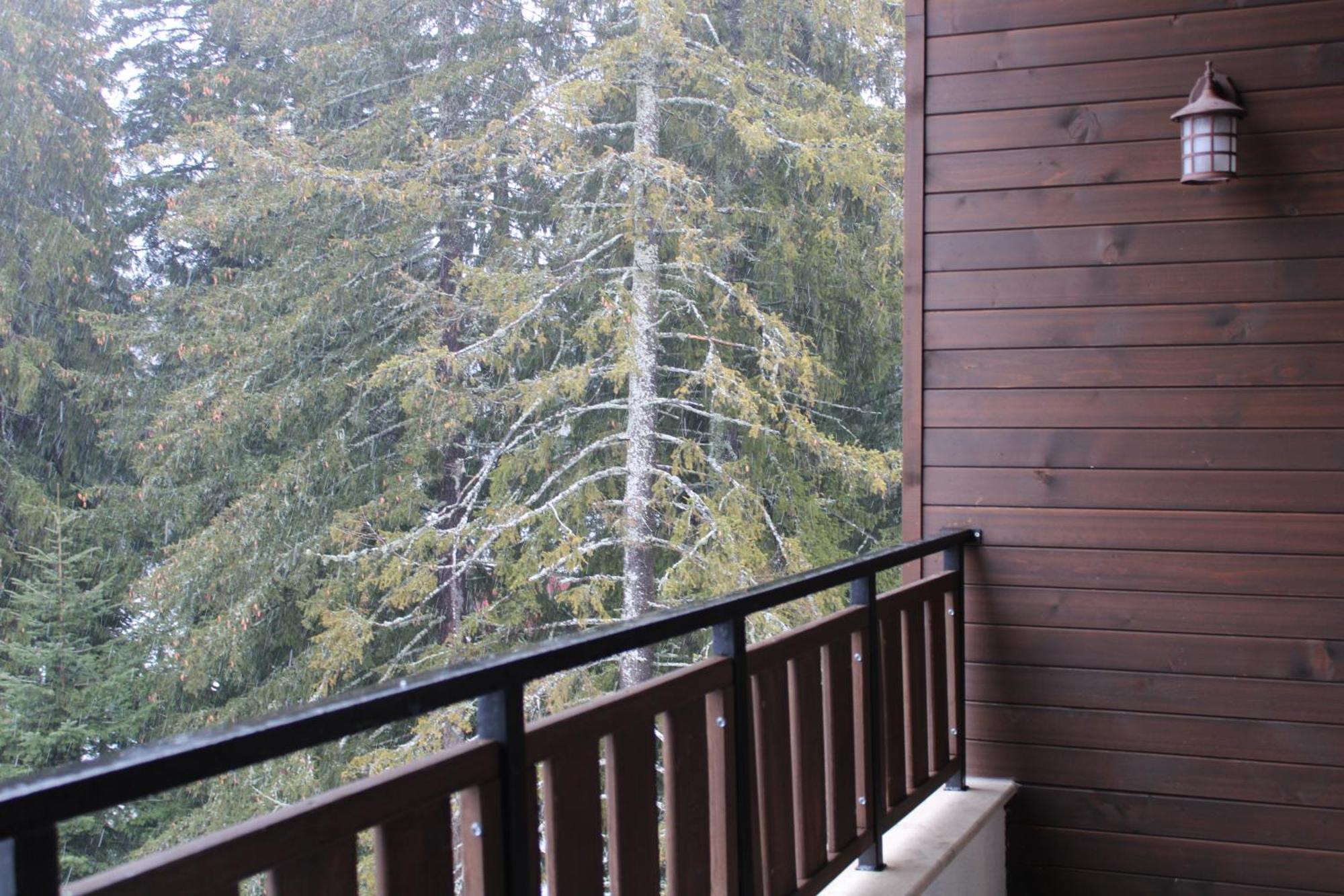 Mountain Studio Asp E63 Borovets Gardens المظهر الخارجي الصورة