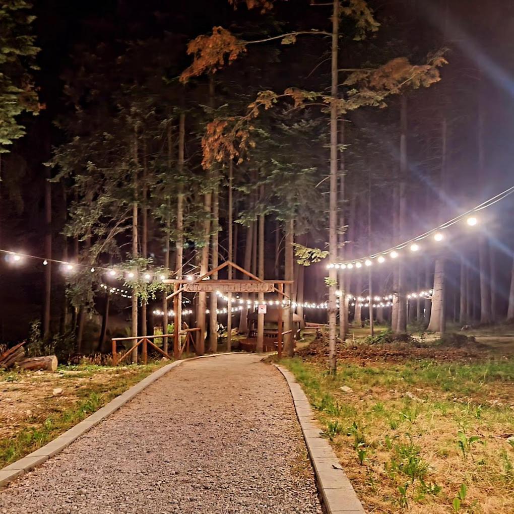Mountain Studio Asp E63 Borovets Gardens المظهر الخارجي الصورة